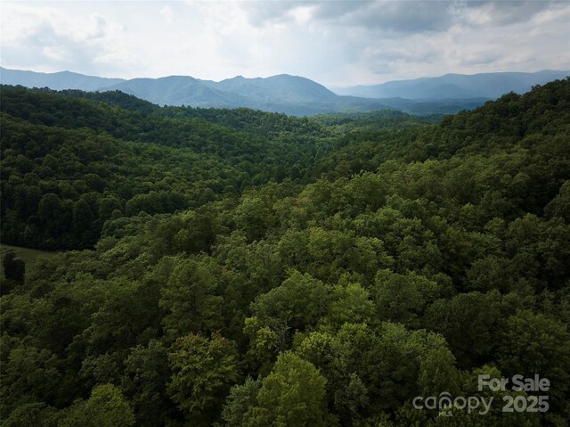0 E H Bailey Rd, Bryson City, NC 28713 - photo 13