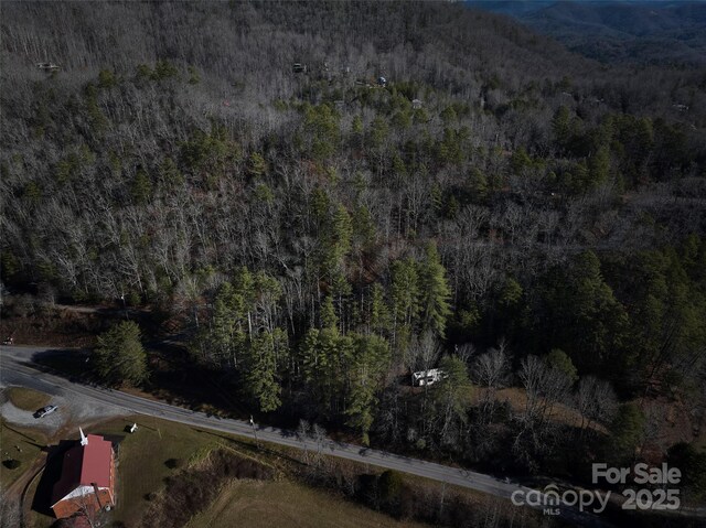 0 E H Bailey Rd, Bryson City, NC 28713 - photo 14