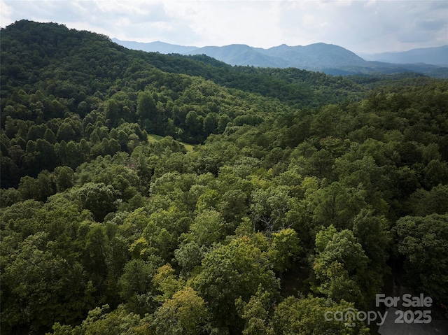 0 E H Bailey Rd, Bryson City, NC 28713 - photo 15