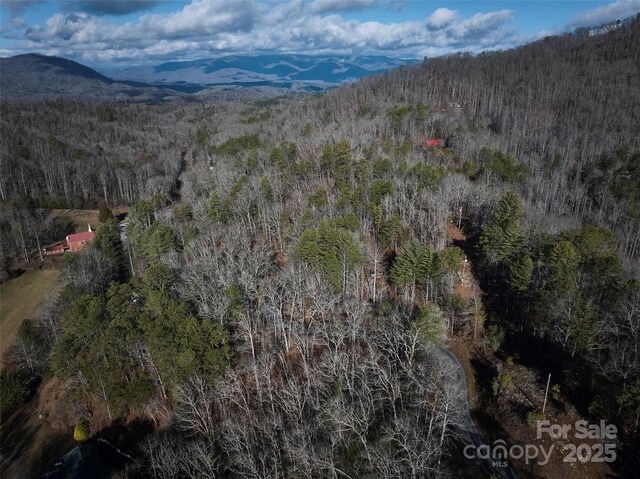 0 E H Bailey Rd, Bryson City, NC 28713 - photo 16