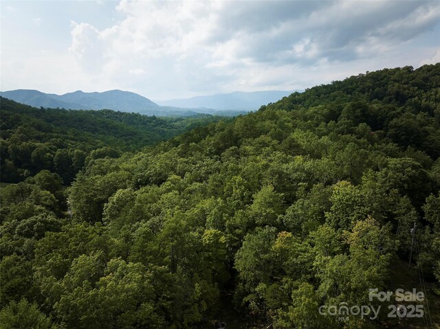 0 E H Bailey Rd, Bryson City, NC 28713 - photo 18