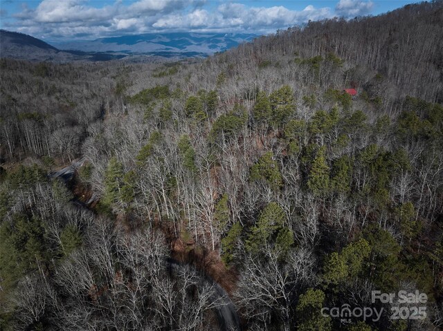 0 E H Bailey Rd, Bryson City, NC 28713 - photo 19