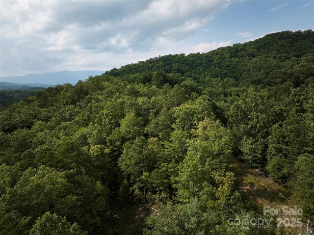 0 E H Bailey Rd, Bryson City, NC 28713 - photo 20