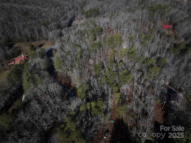 0 E H Bailey Rd, Bryson City, NC 28713 - photo 21