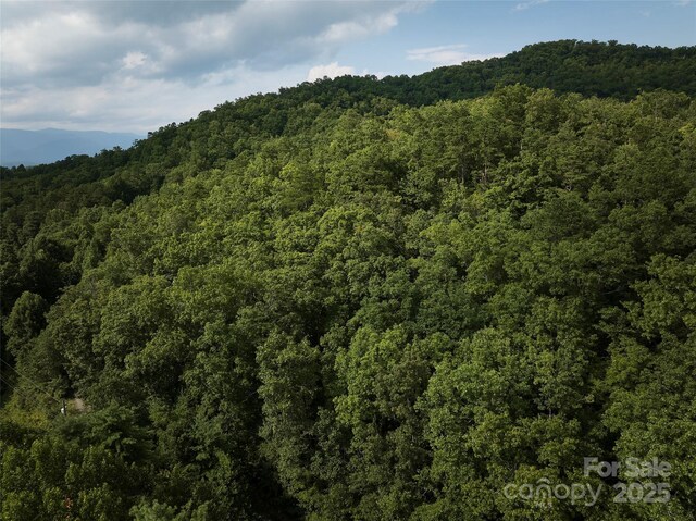 0 E H Bailey Rd, Bryson City, NC 28713 - photo 22