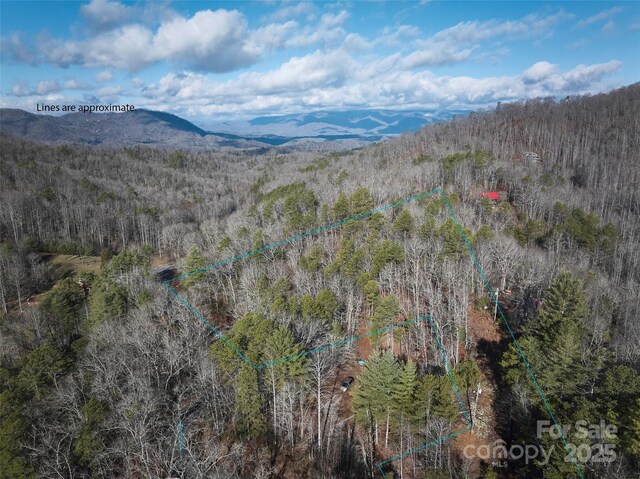 0 E H Bailey Rd, Bryson City, NC 28713 - photo 23
