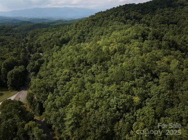0 E H Bailey Rd, Bryson City, NC 28713 - photo 24