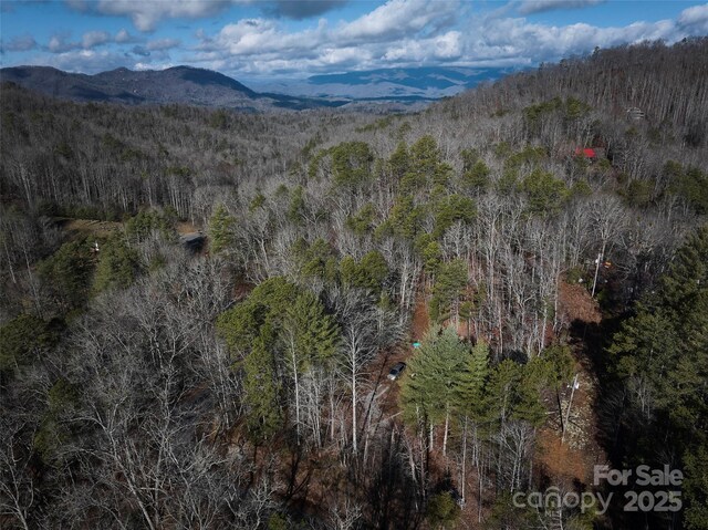 0 E H Bailey Rd, Bryson City, NC 28713 - photo 26