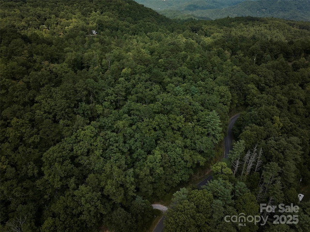 0 E H Bailey Rd, Bryson City, NC 28713 - photo 27
