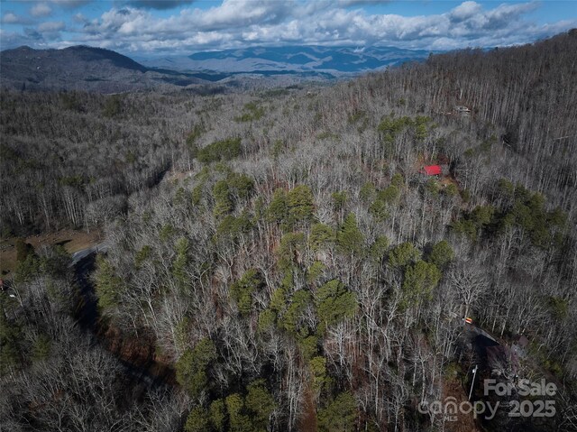 0 E H Bailey Rd, Bryson City, NC 28713 - photo 28