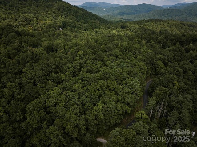0 E H Bailey Rd, Bryson City, NC 28713 - photo 29