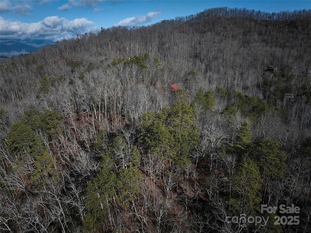 0 E H Bailey Rd, Bryson City, NC 28713 - photo 30