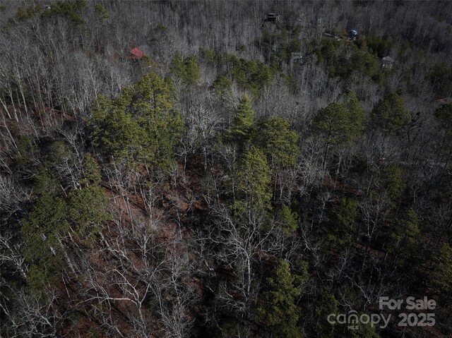 0 E H Bailey Rd, Bryson City, NC 28713 - photo 31