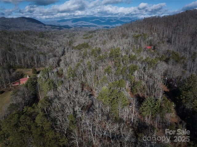 0 E H Bailey Rd, Bryson City, NC 28713 - photo 32