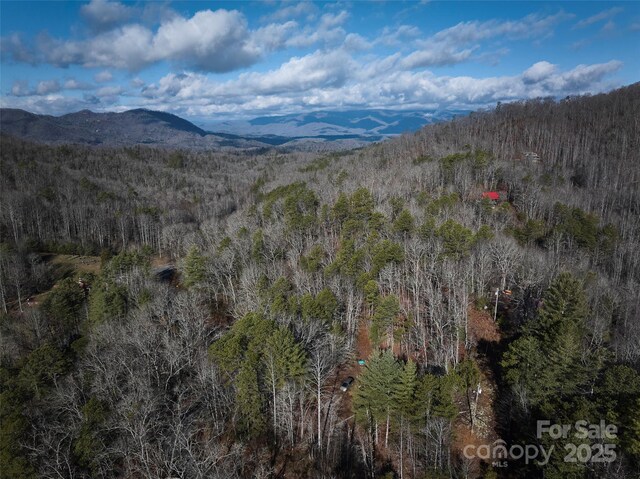 0 E H Bailey Rd, Bryson City, NC 28713 - photo 33
