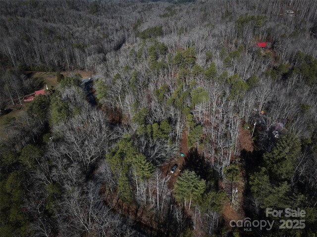 0 E H Bailey Rd, Bryson City, NC 28713 - photo 35