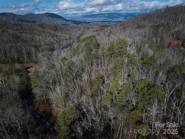0 E H Bailey Rd, Bryson City, NC 28713 - photo 36