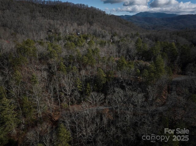0 E H Bailey Rd, Bryson City, NC 28713 - photo 37