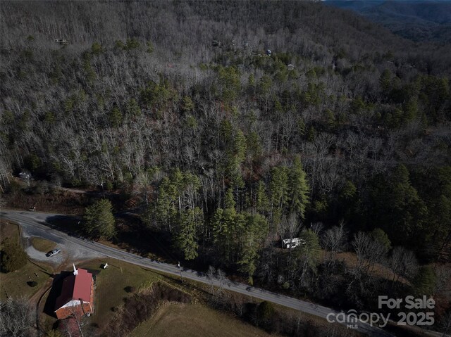 0 E H Bailey Rd, Bryson City, NC 28713 - photo 38