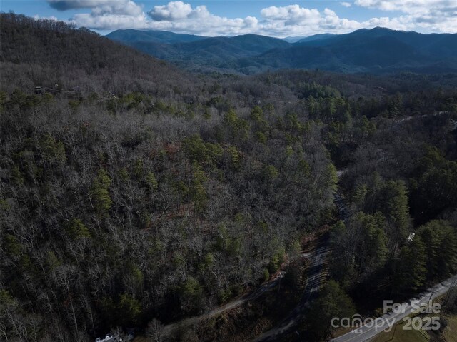 0 E H Bailey Rd, Bryson City, NC 28713 - photo 39