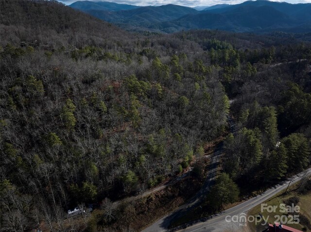 0 E H Bailey Rd, Bryson City, NC 28713 - photo 40