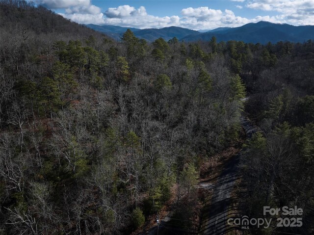0 E H Bailey Rd, Bryson City, NC 28713 - photo 41