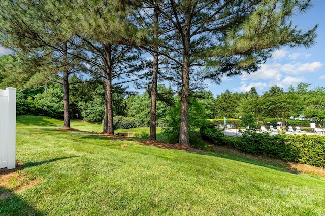 5322 Jocelyn Ln, Charlotte, NC 28269 - view of green lawn