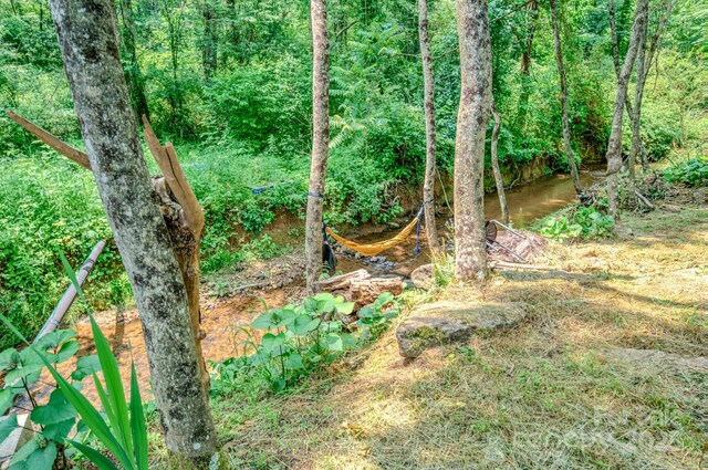 136 Old County Home Rd, Asheville, NC 28806 - photo 29