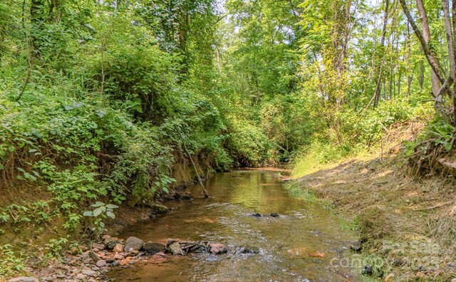 136 Old County Home Rd, Asheville, NC 28806 - photo 30