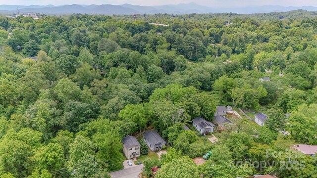 136 Old County Home Rd, Asheville, NC 28806 - photo 33
