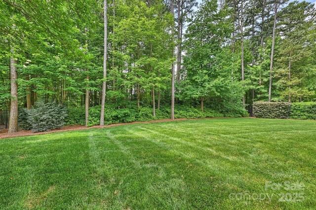 7319 Stonehaven Dr, Waxhaw, NC 28173 - view of grassy yard