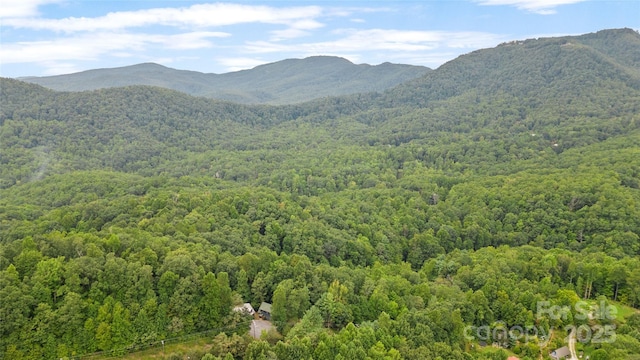 214 Mckenzie Way, Old Fort, NC 28762 - view of mountain background with a forest