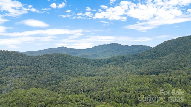 214 Mckenzie Way, Old Fort, NC 28762 - mountain view featuring a forest