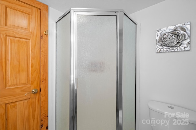214 Mckenzie Way, Old Fort, NC 28762 - bathroom featuring a shower stall and toilet