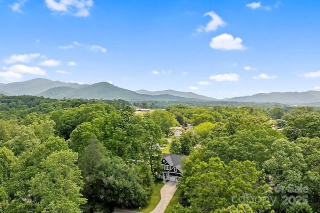 130 Eastwood Ave, Swannanoa, NC 28778 - photo 38