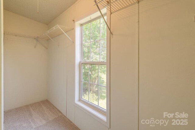 27 Jackson Cove Rd, Leicester, NC 28748 - photo 15