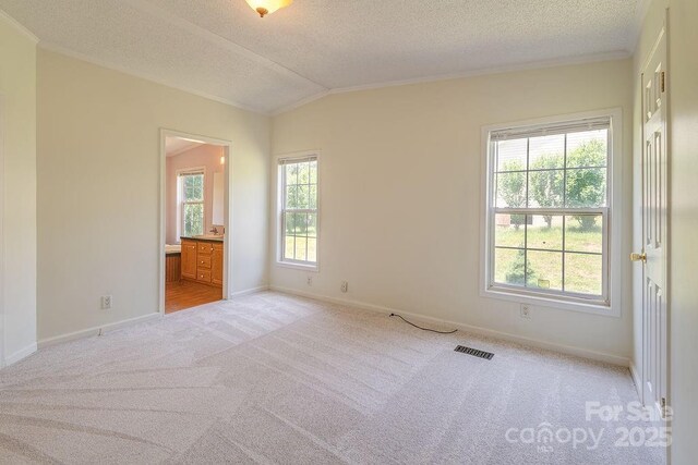 27 Jackson Cove Rd, Leicester, NC 28748 - photo 16