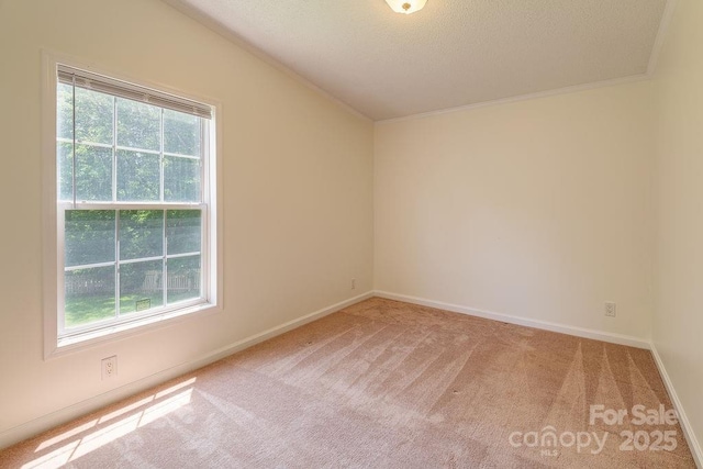 27 Jackson Cove Rd, Leicester, NC 28748 - photo 18