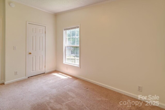 27 Jackson Cove Rd, Leicester, NC 28748 - photo 19