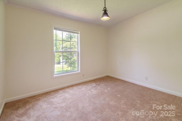 27 Jackson Cove Rd, Leicester, NC 28748 - photo 21