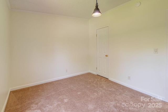 27 Jackson Cove Rd, Leicester, NC 28748 - photo 22