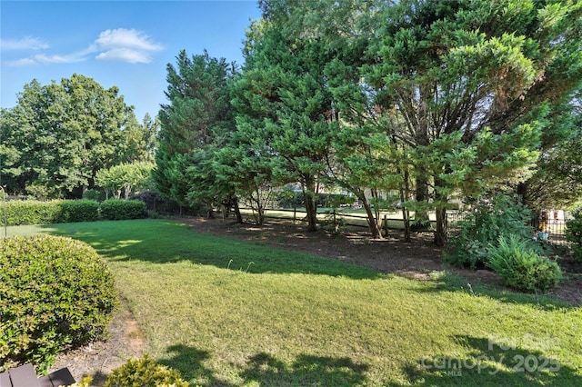 104 Fairwind Ct, Fort Mill, SC 29708 - view of grassy yard