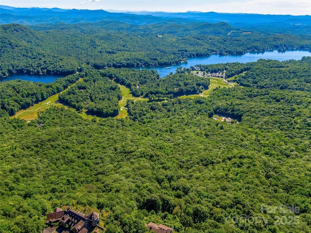 TBD Fairway Drive, Lake Toxaway, NC 28747