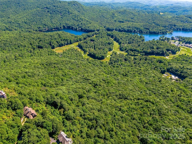 TBD Fairway Drive, Lake Toxaway, NC 28747