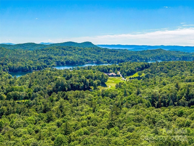 TBD Fairway Drive, Lake Toxaway, NC 28747