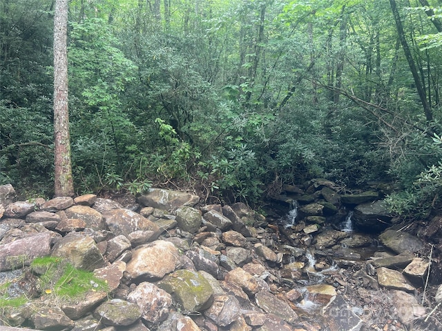 TBD Fairway Drive, Lake Toxaway, NC 28747