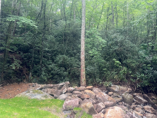 TBD Fairway Drive, Lake Toxaway, NC 28747