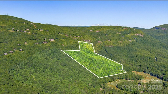 TBD Fairway Drive, Lake Toxaway, NC 28747