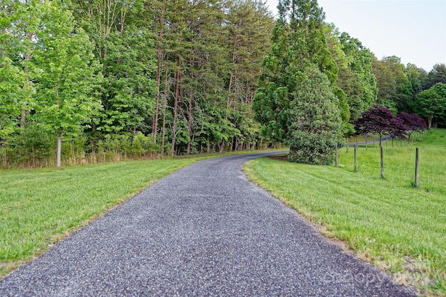 1250 Mountain Creek Rd, Rutherfordton, NC 28139 - view of street with a wooded view