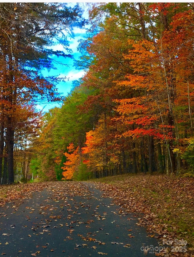 1250 Mountain Creek Rd, Rutherfordton, NC 28139 - view of road with a view of trees